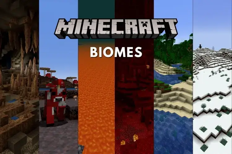 Types of Minecraft Biomes